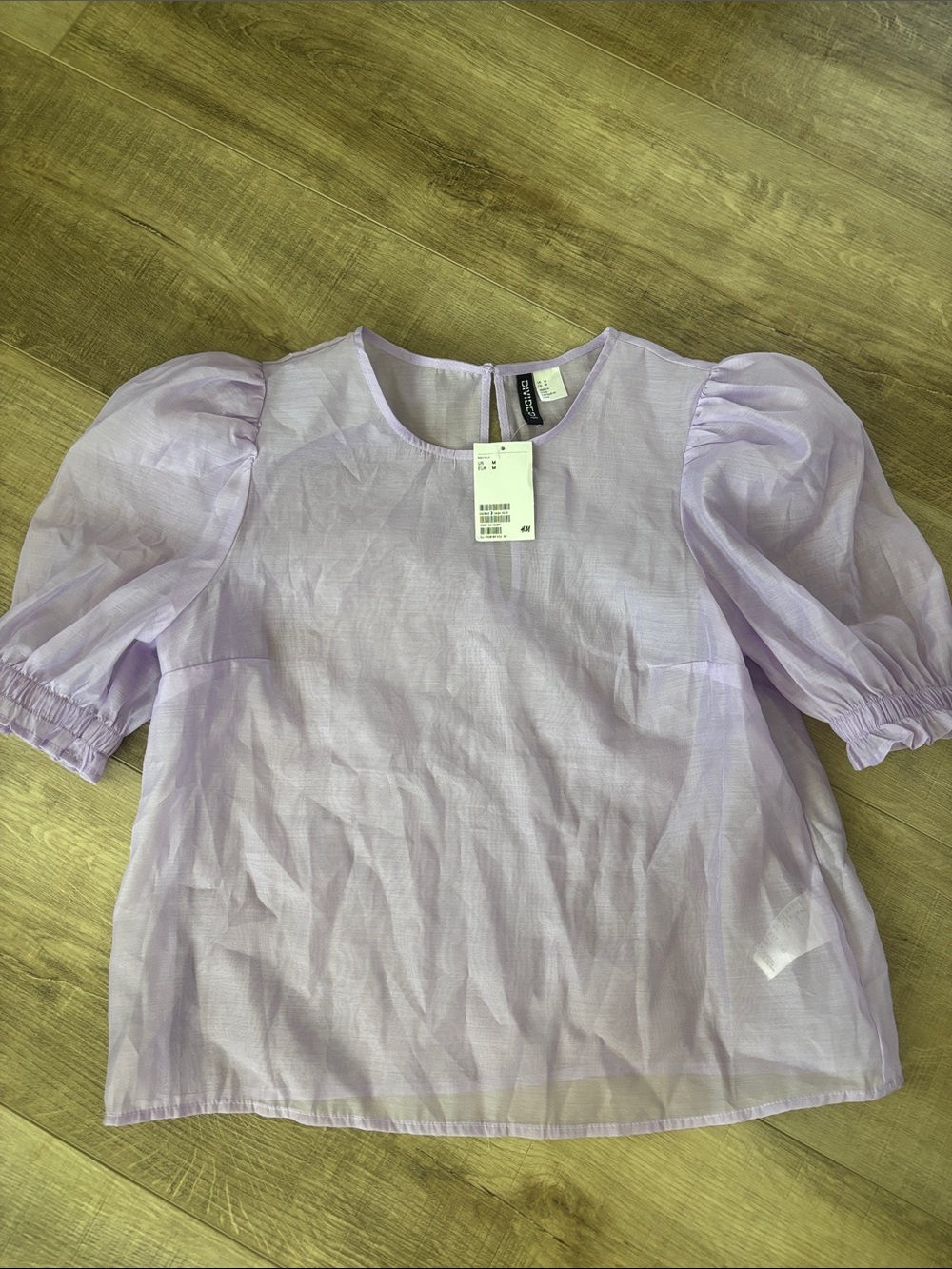 Divided Lavender Puff Sleeve sheer Blouse